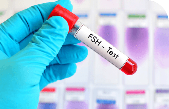 Fertility Testing & Genetic Screening